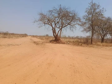 Farm & Agricultural Land