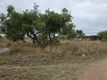 Farm & Agricultural Land