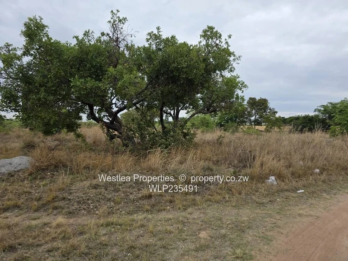 Grab this investment opportunity