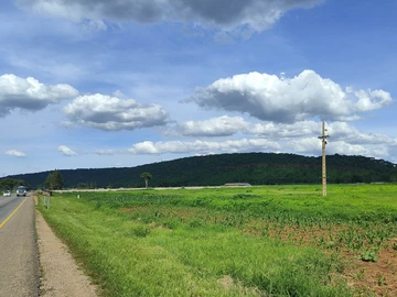 Farm & Agricultural Land