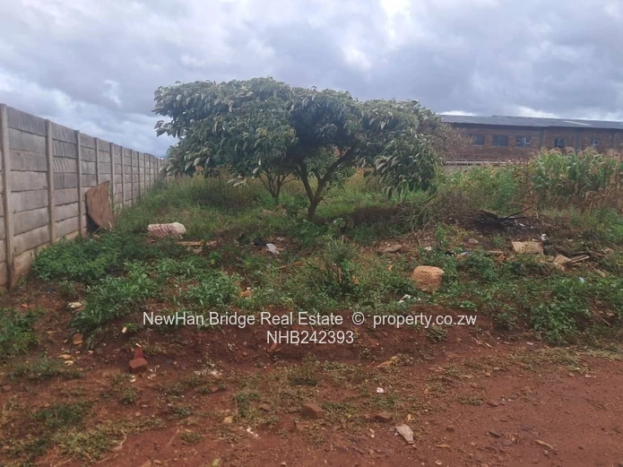 Tynwald Commercial Stand For Sale (Sole Mandate)