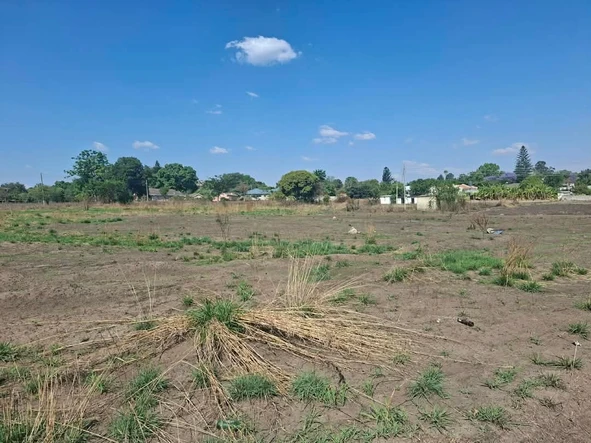 Stands & Residential Land