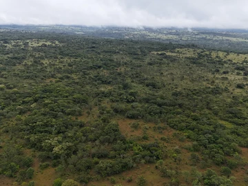 Farm & Agricultural Land