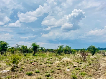 Farm & Agricultural Land