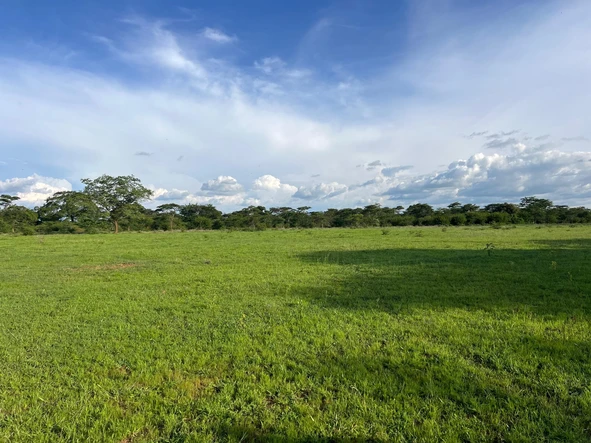 Farm & Agricultural Land