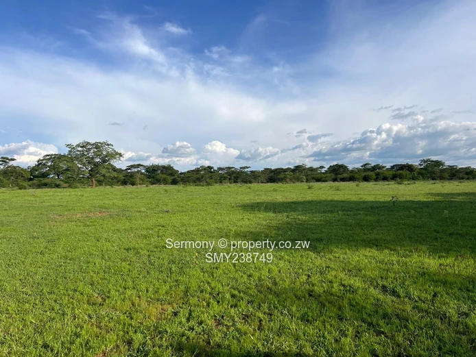 Agricultural Farm For Sale