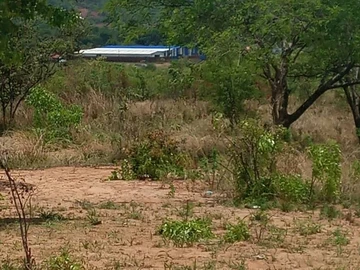 Farm & Agricultural Land