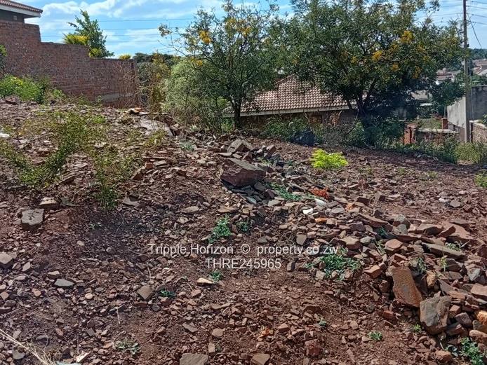 399m² Elevated Stand in Cold Comfort — Tarred Rd, Water & Sewer