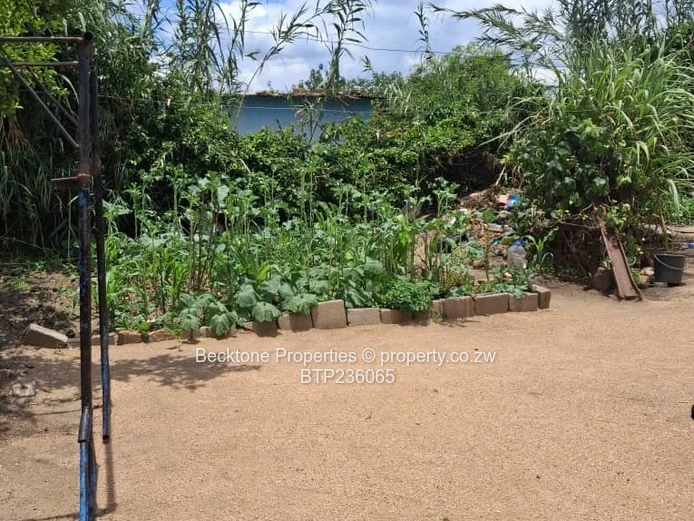 Number 6 house for sale (Sole Mandate)