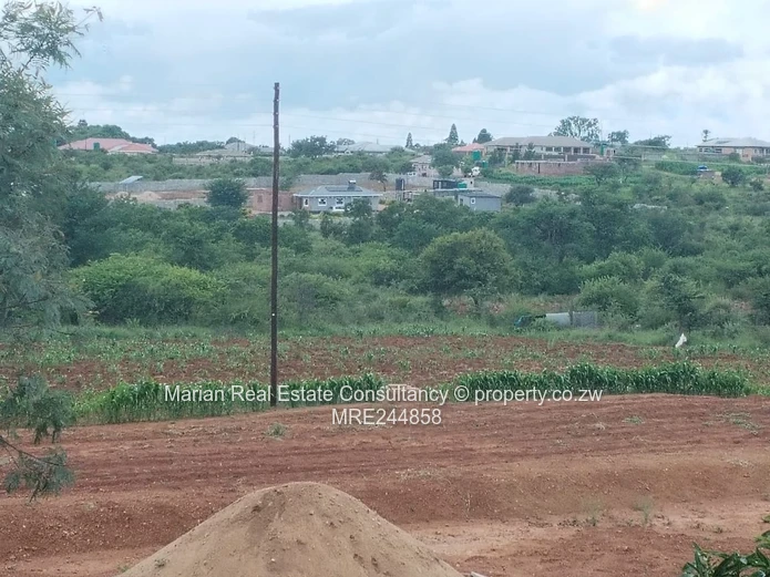 Riverside South Stand For Sale
