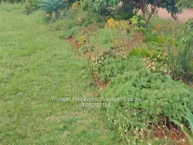 10ha Arable Farm in Marondera with Grazing & Gravel Access