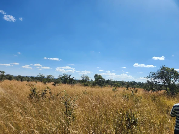 Farm & Agricultural Land