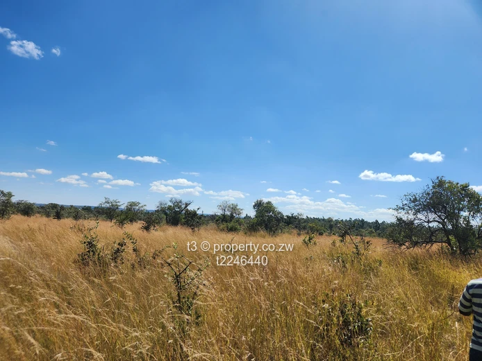  Darwendale Farm - 400 hectares 