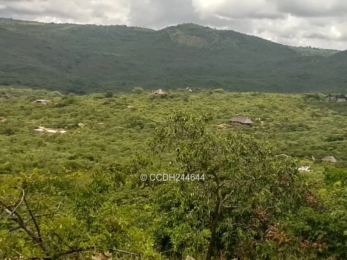 Nyanga Agro-residential plots (Sole Mandate)