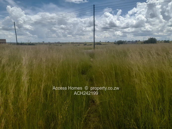 Nyabira Rosewood Park 