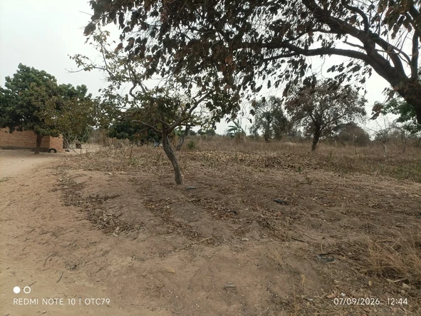 Farm & Agricultural Land