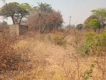 Farm & Agricultural Land