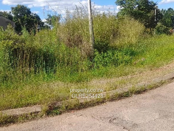 Hogerty Hill 4,348m² — Subdividable Stand on Tarred Road