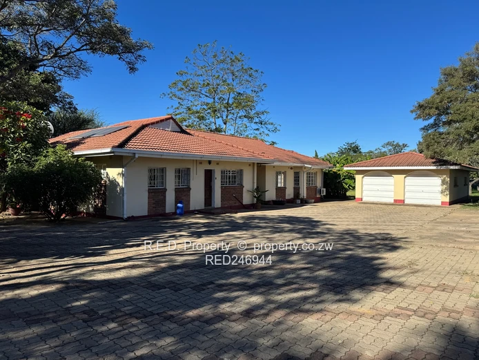 Prime Burnside Property!