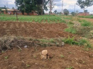 Stands & Residential Land