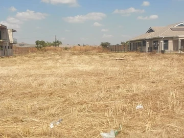 Stands & Residential Land