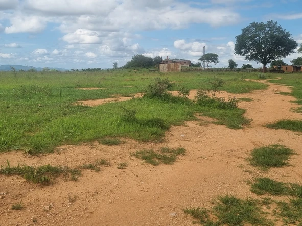 Farm & Agricultural Land