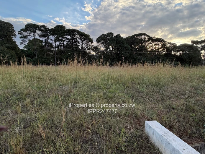 Prime 2000 sqm Vacant Stand for Sale in Pomona City – Perfect Location Next to Fairway!