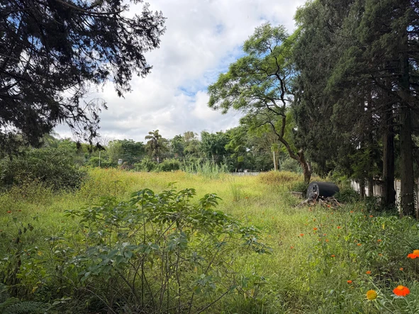 Commercial & Industrial Land