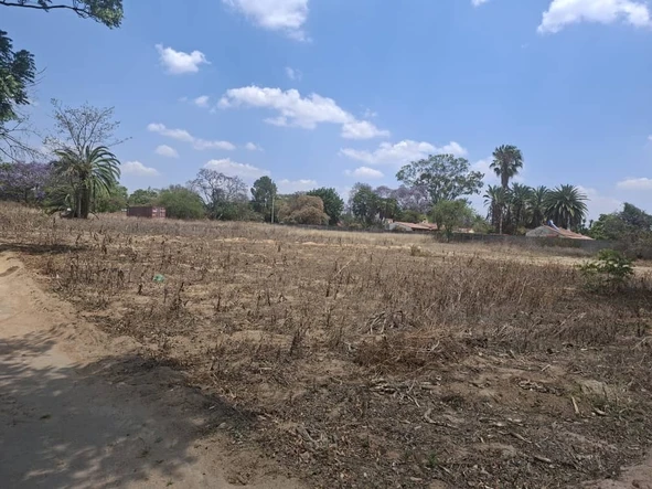 Stands & Residential Land
