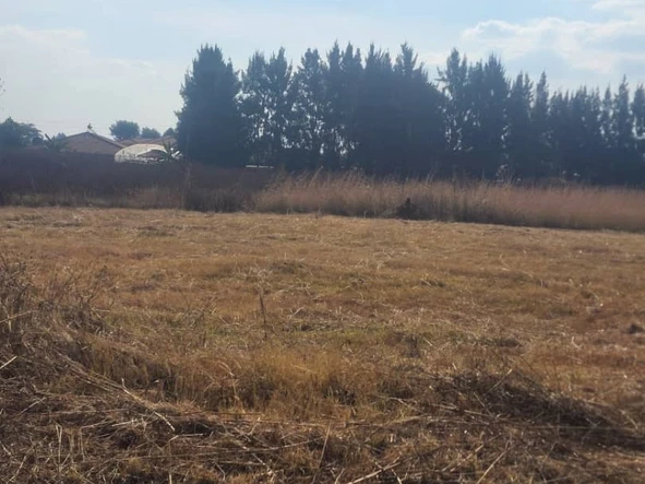 Stands & Residential Land