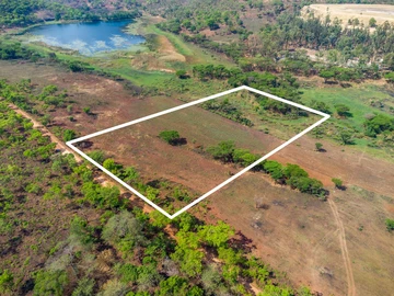 Farm & Agricultural Land