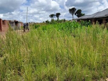 Stands & Residential Land