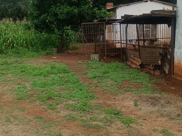 Farm & Agricultural Land