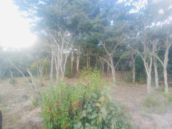 Farm & Agricultural Land