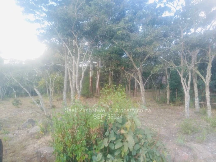 Experience The Nyanga Lifestyle, In Nature's Luxury