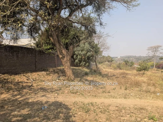 Helensvale (Elshadai) Stand For Sale 