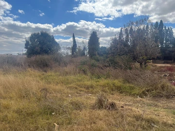 Commercial & Industrial Land