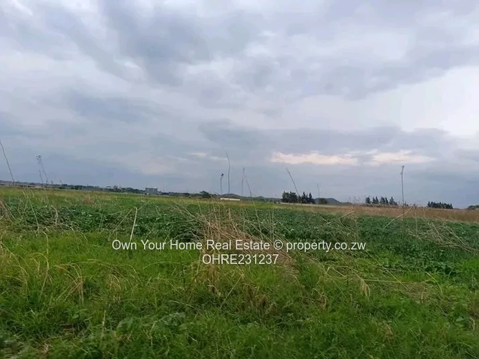 Mount Hampden Plot For Sale