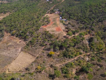 Farm & Agricultural Land