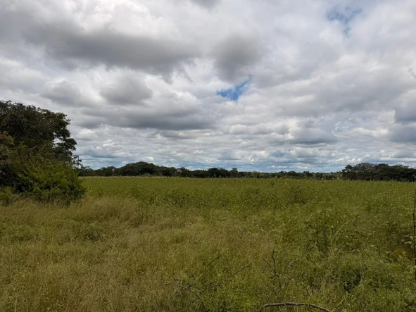 Farm & Agricultural Land