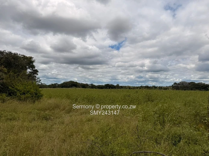 Plots for sale in Chegutu 