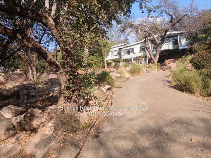 Spacious 4-Bed Burnside Home on 4000m² with Pool
