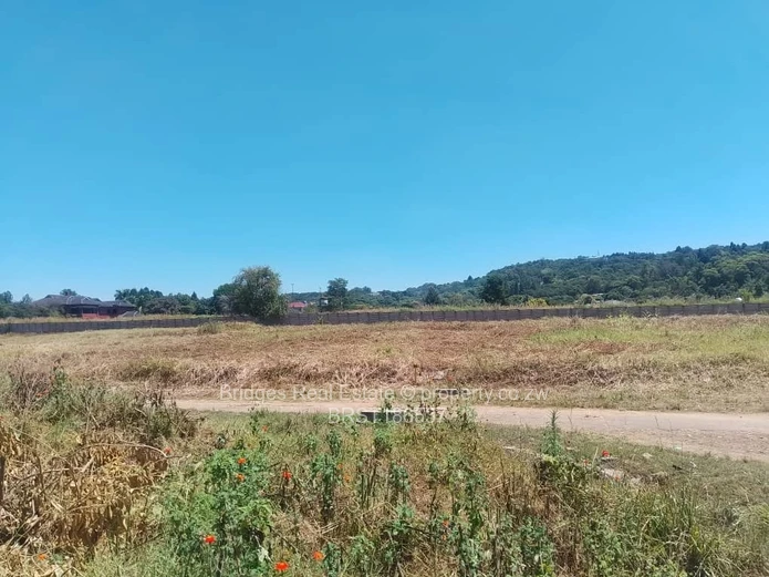 Quinnington Gated Community Stands