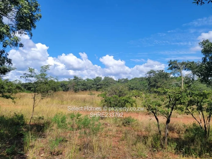 Christon bank Plot For Sale