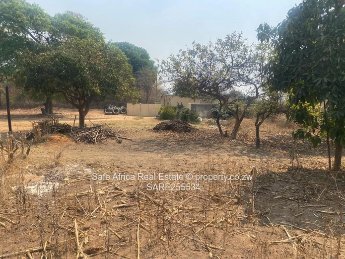 PAN- HANDLE STAND FOR SALE IN WATERFALLS - PROSPECT AREA-CHURCHILL ROAD Price at 69k