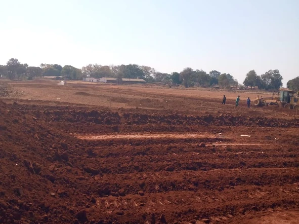 Stands & Residential Land