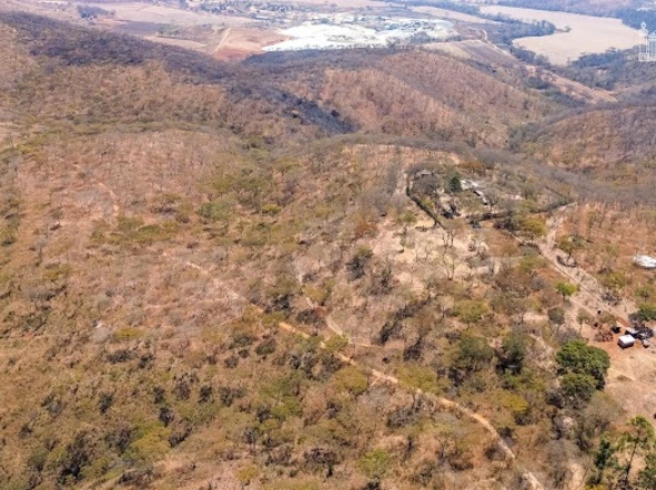 Farm & Agricultural Land