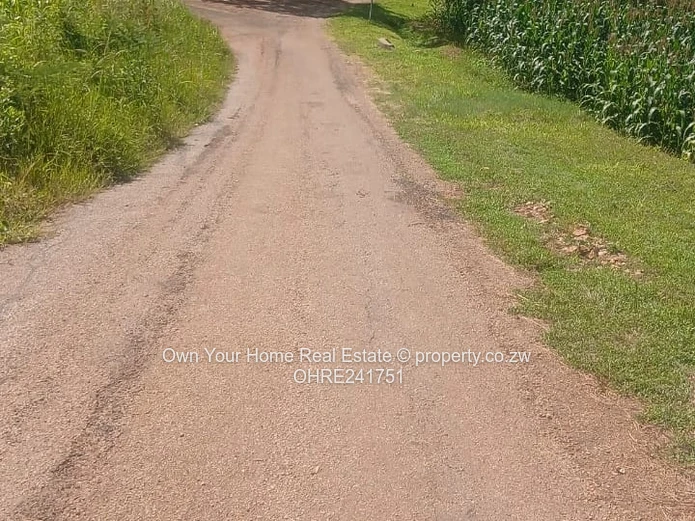 Borrowdale Carrick stands.A choice of 3: