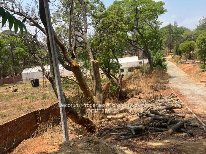 Prime 3,400ha plot in Umwinsidale — Tarred Access