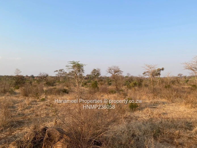 Selous Plot For Sale
